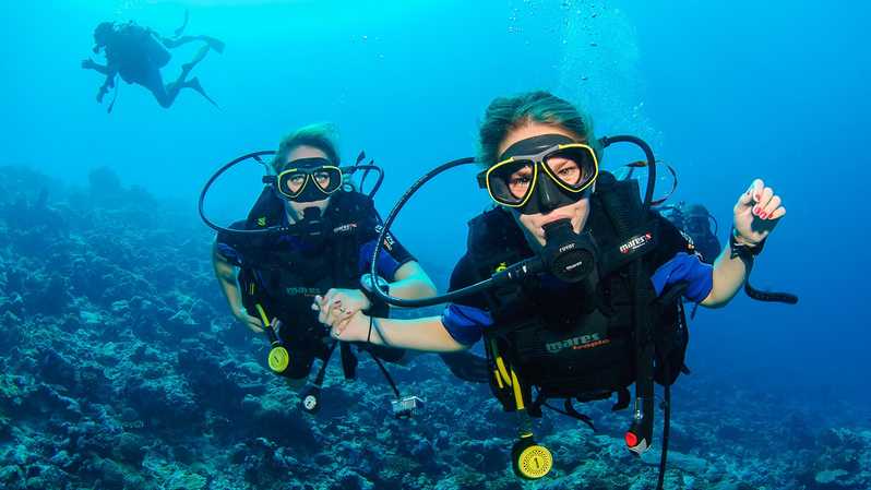 The best Scuba Diving spots in Turkey